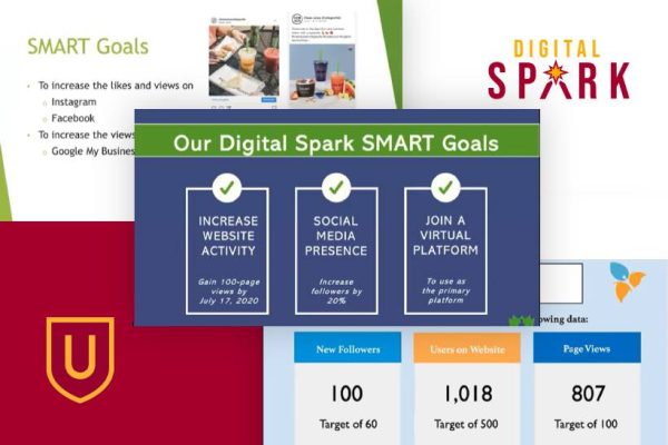 Ursinus College Digital Spark Program